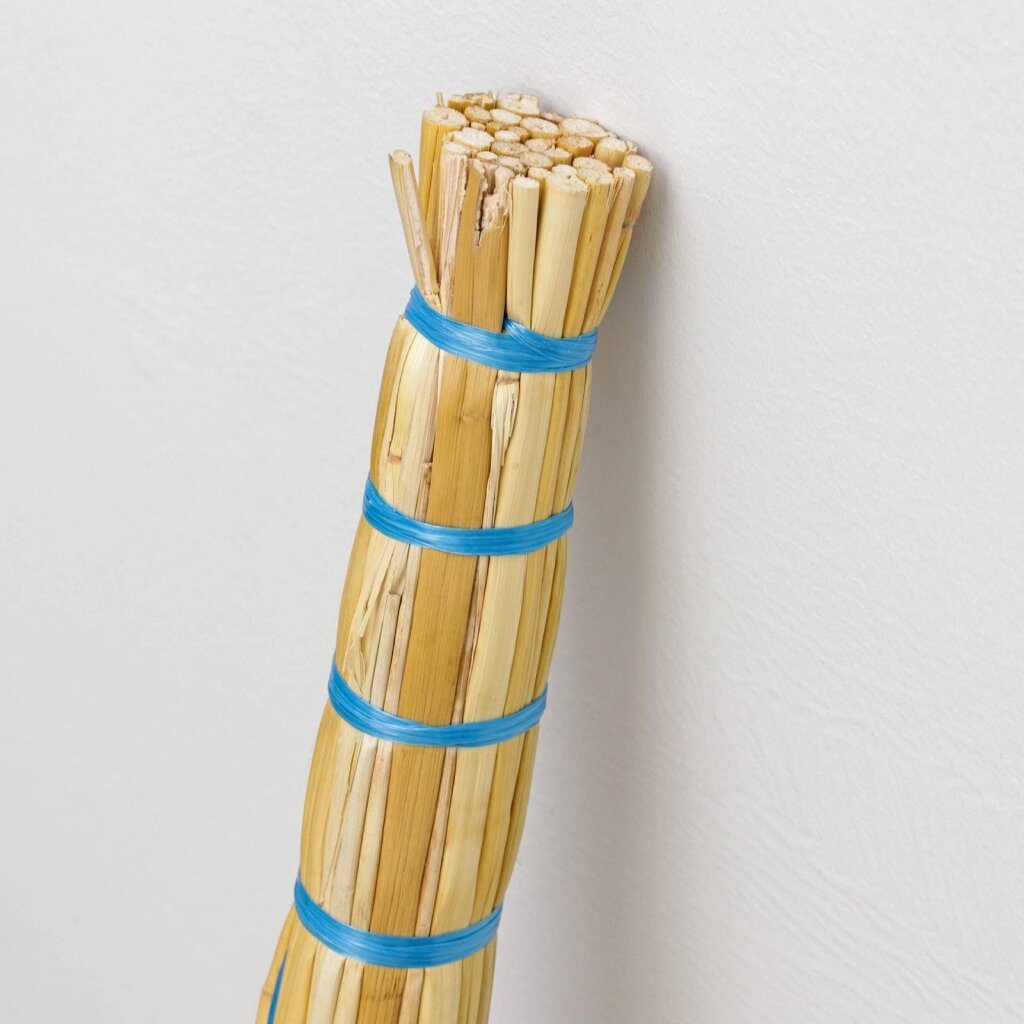 Веник Cорго Двухпрошивной — изображение 2